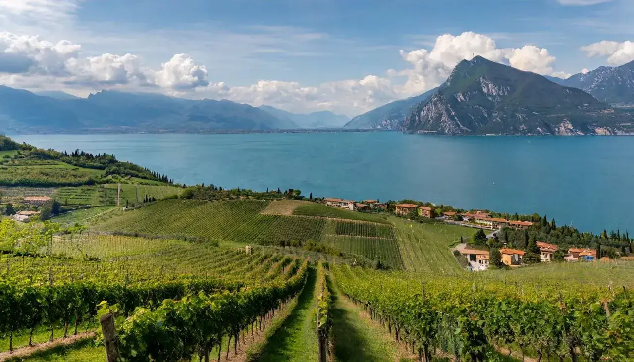 Vigneti rigogliosi scendono verso un lago azzurro, con montagne sullo sfondo. Un paesaggio che fa capire perché si chiama Franciacorta, terra di eccellenze.