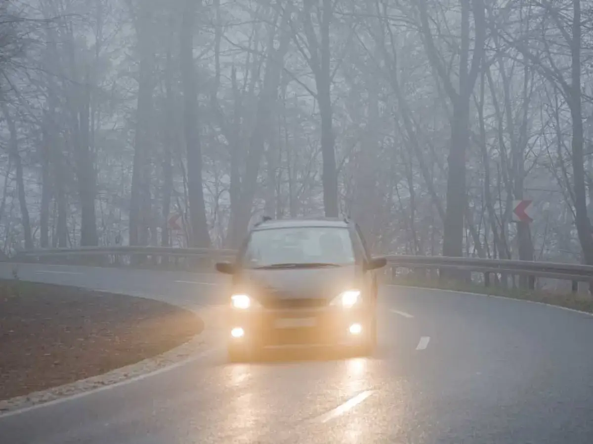 Un coche avanza con el alumbrado encendido en una carretera rodeada de &aacute;rboles, envuelta en niebla densa.
