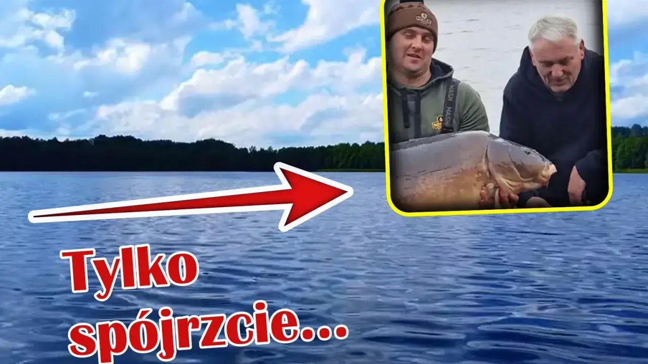 Dw&oacute;ch wędkarzy trzyma ogromnego karpia. Zastanawiasz się, co jedzą karpie, że rosną tak duże?