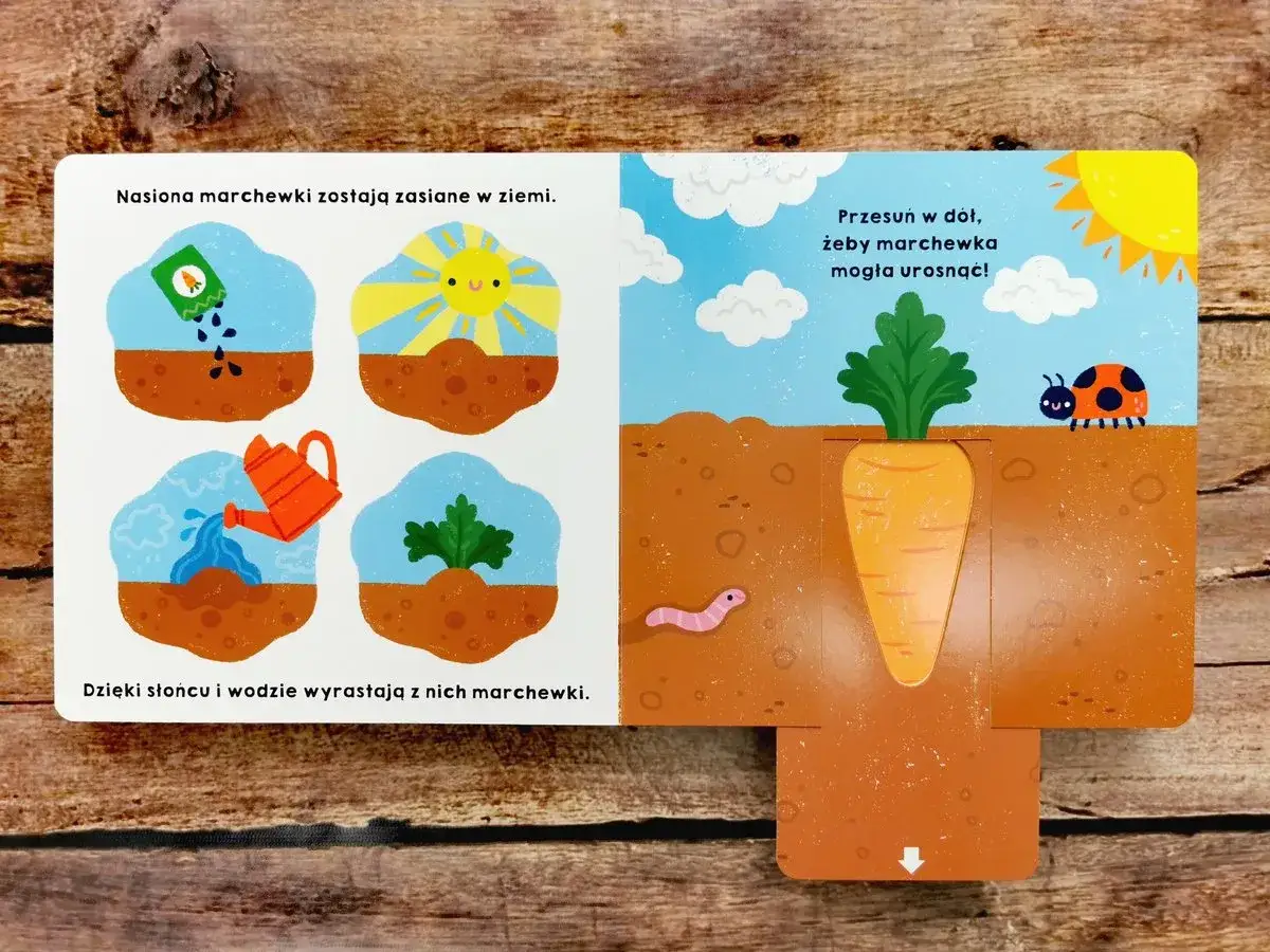 Ilustracja pokazuje, jak rośnie marchewka. To świetne zabawy dla 10 latk&oacute;w, uczące o przyrodzie.