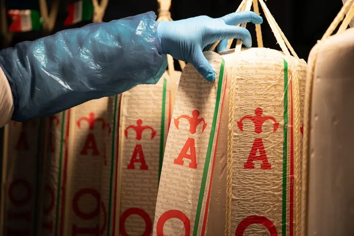 Mano guantata controlla fili di provolone appesi, pronti per la stagionatura.