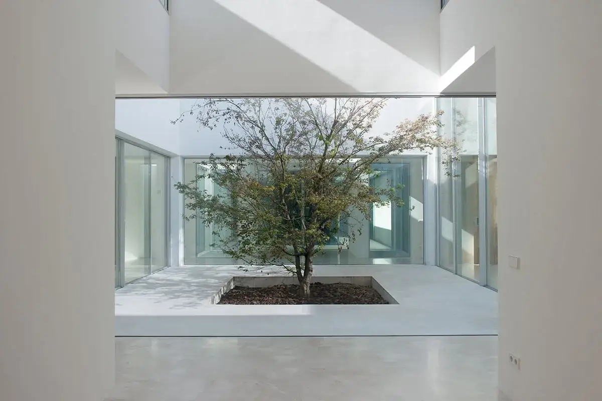 Árbol solitario en un patio interior moderno, con suelo de baldosas claras y paredes blancas. La luz natural ilumina la escena, creando una atmósfera serena. Una **decoración patio interior** minimalista y elegante.
