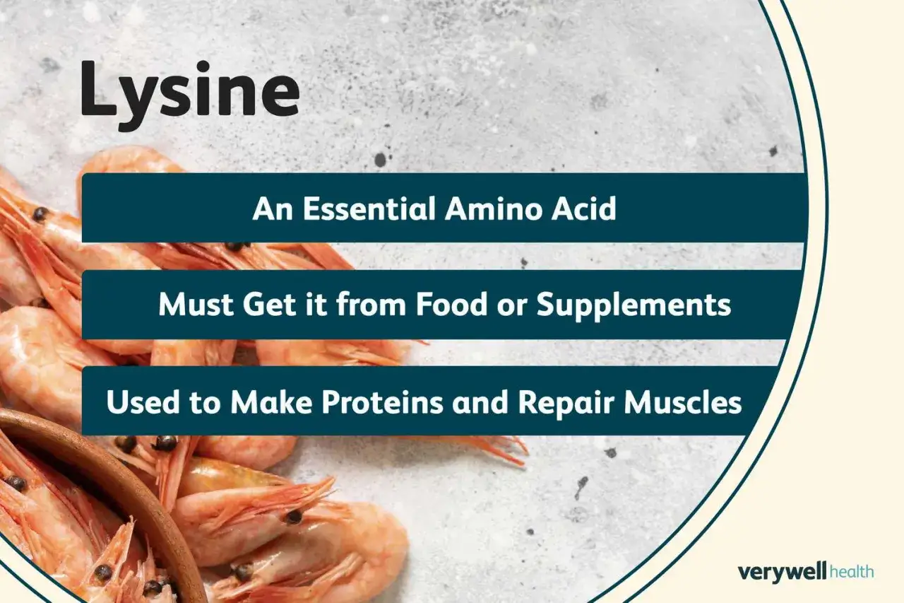 La lysine, un acide aminé essentiel, est nécessaire à la fabrication de protéines et à la réparation musculaire. On la trouve dans les aliments ou les suppléments.