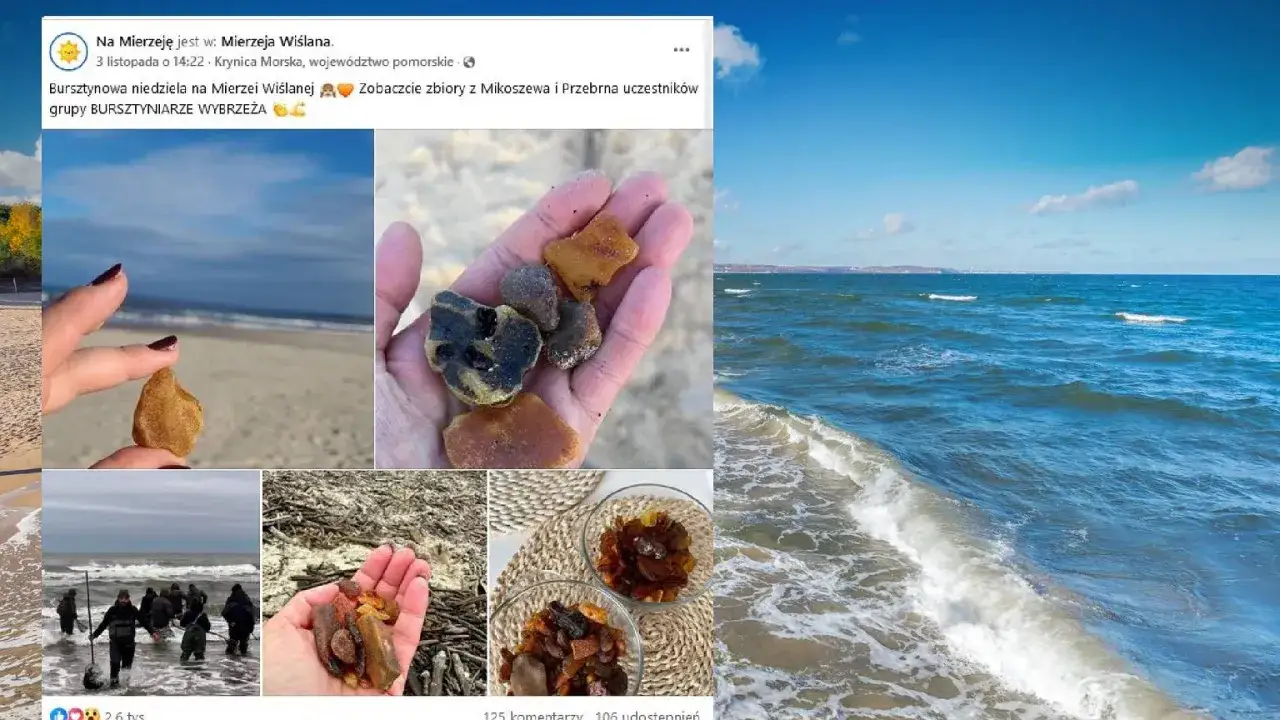 Jak znaleźć bursztyn na plaży? Zobaczcie, jak grupa pasjonatów zbiera bursztyny na Mierzei Wiślanej.