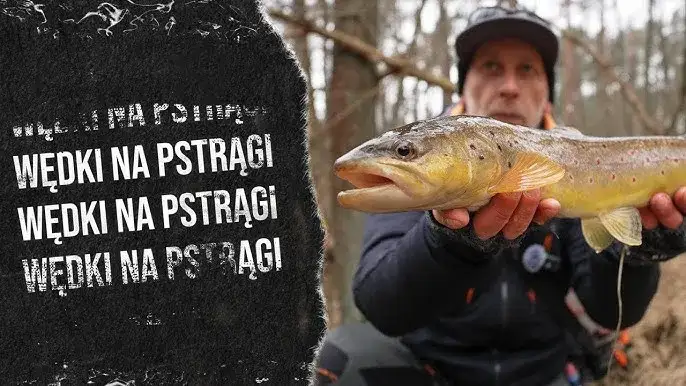 Przegląd wędek pstrągowych r&oacute;żnych marek i segment&oacute;w cenowych