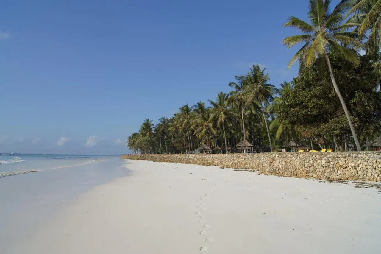 Traumhafter Strand mit Palmen und Steinmauer. Vorsicht bei der Reise nach Lamu, Kenia, wegen möglicher Reisewarnungen.