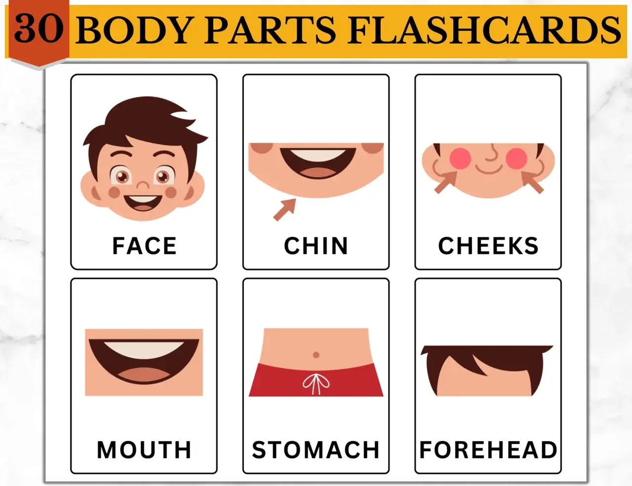 Tarjetas para imprimir de partes del cuerpo: cara, barbilla, mejillas, boca, est&oacute;mago y frente. &iexcl;Ideal para aprender!