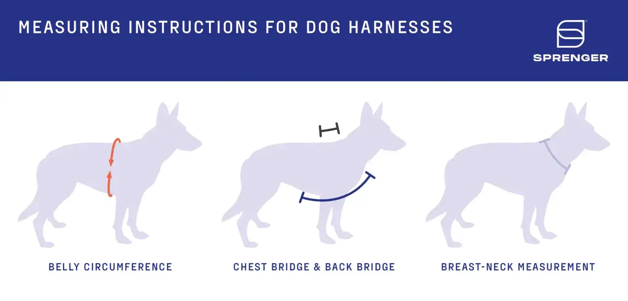 Instructions pour mesurer le **taille harnais chien** : tour de ventre, pont de poitrine et pont de dos, et mesure cou-poitrail.