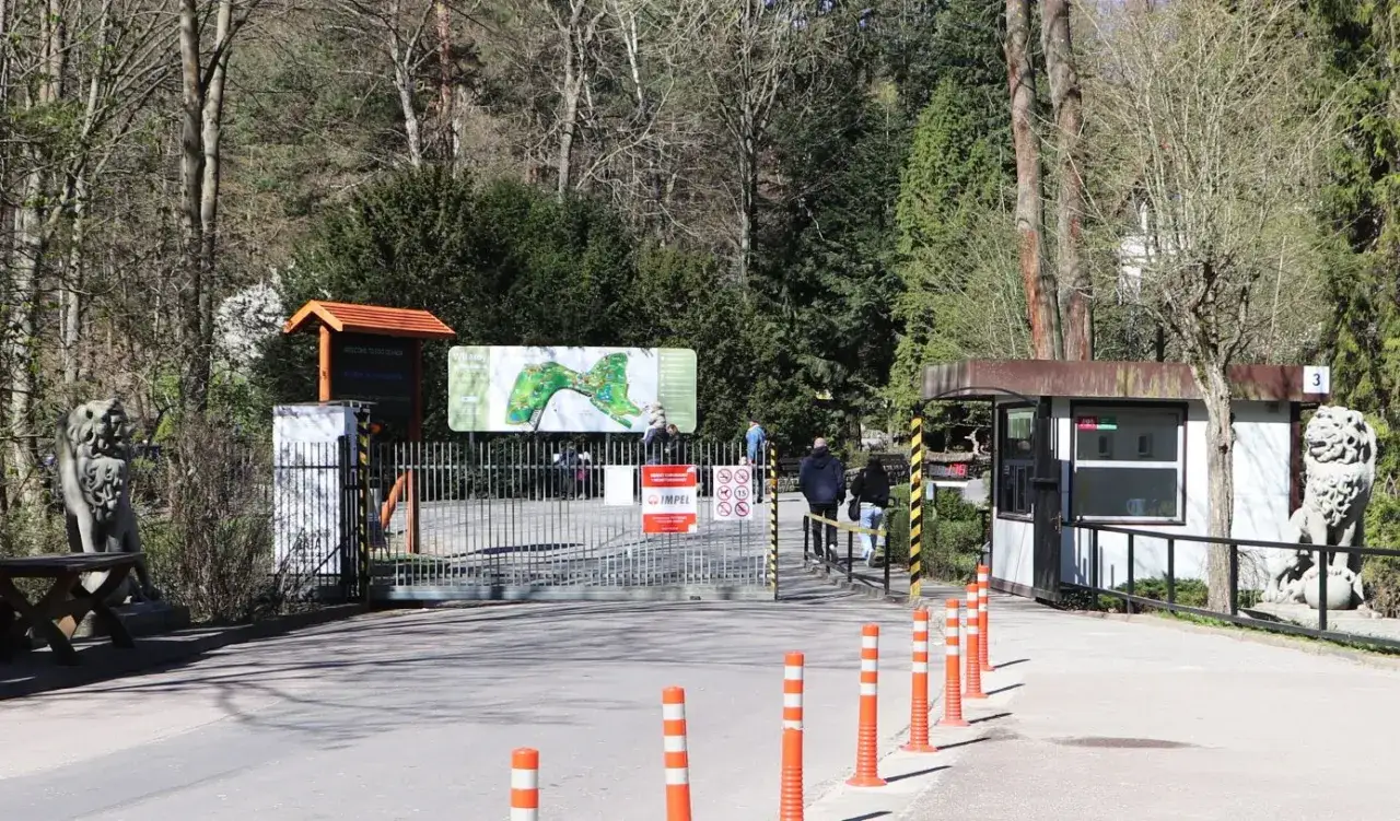 Gdański ogród zoologiczny – bilety. Wejście strzeżone przez lwy, z mapą ogrodu i kasą.