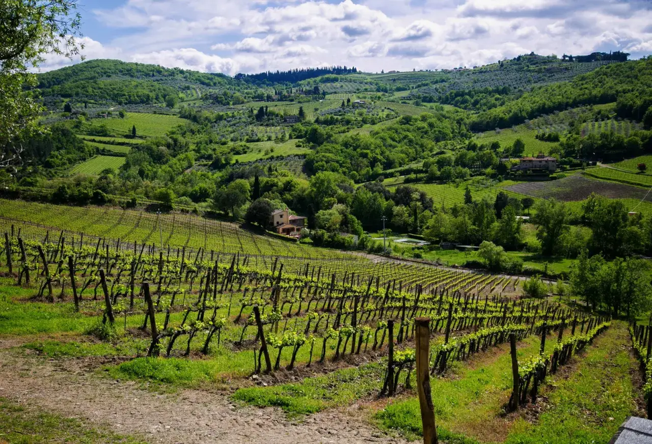 Un tour in Toscana tra dolci colline verdi, vigneti rigogliosi e casali immersi nella natura.