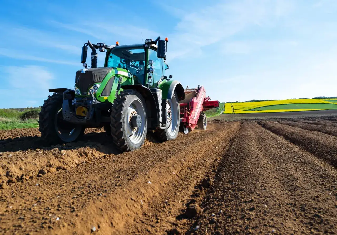 Zielony traktor z przyczepą pracuje na polu. W tle kwitnące rzepaki. Rolnik dba o uprawy, pamiętając o mospilan karencja.