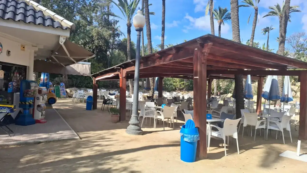 Cafetería mirador Elche con mesas y sillas bajo una pérgola de madera, rodeada de palmeras y vegetación.