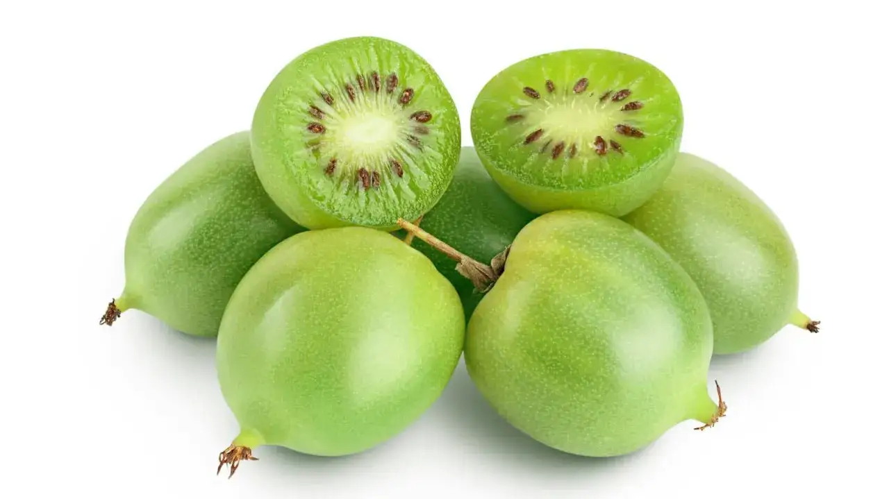 Mini kiwi, idealne do uprawy w doniczce, prezentują swoje zielone, owalne kształty i soczyste wnętrze z drobnymi pestkami.