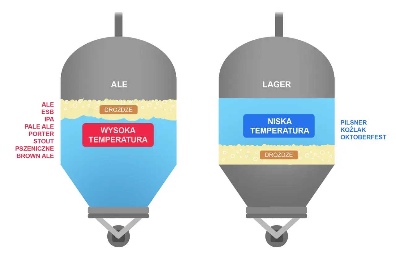 Ilustracja pokazuje fermentację piwa. Po lewej, w tanku ALE, drożdże pracują w wysokiej temperaturze, tworząc piwa typu ale. Po prawej, w tanku LAGER, drożdże fermentują w niskiej temperaturze, dając lagery.