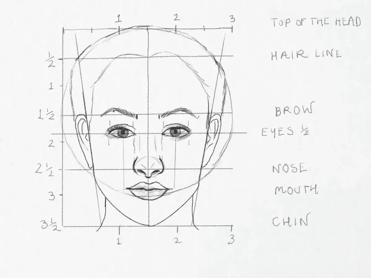 Dessin d'un visage au crayon, montrant les guides pour la proportion visage. Les lignes indiquent la position des yeux, du nez et de la bouche.