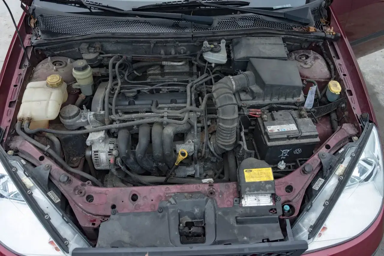 Silnik Ford Focus MK1 1.6 benzyna, widok z góry. Widać akumulator, przewody, płyny i inne elementy jednostki napędowej.