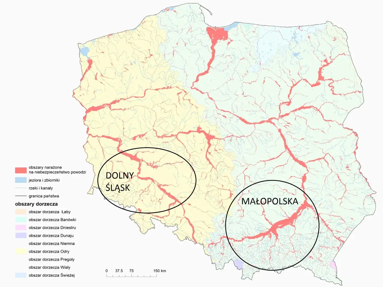 Mapa Polski z zaznaczonymi obszarami narażonymi na powodzie. Widać obszary dorzeczy Wisły, Odry i innych rzek. Podkreślono Dolny Śląsk i Małopolskę.