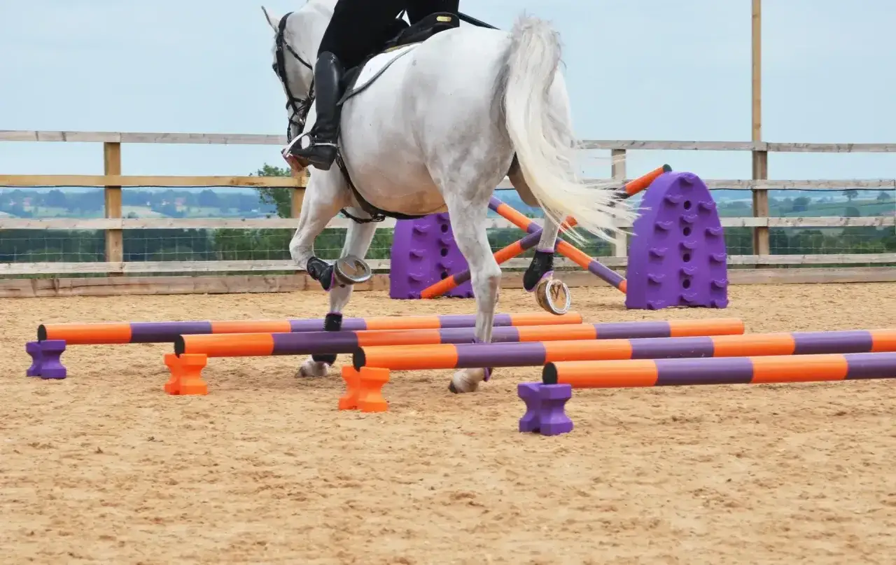 Un cheval blanc en plein saut d'obstacles, ses sabots effleurant les barres colorées.