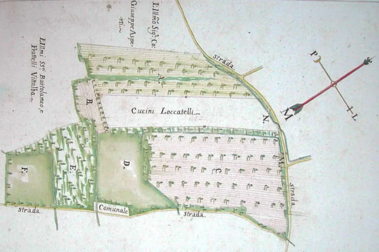 Antica mappa catastale con campi coltivati, strade e nomi di proprietari. Indica quanto vale una pertica di terreno agricolo in quest'area.