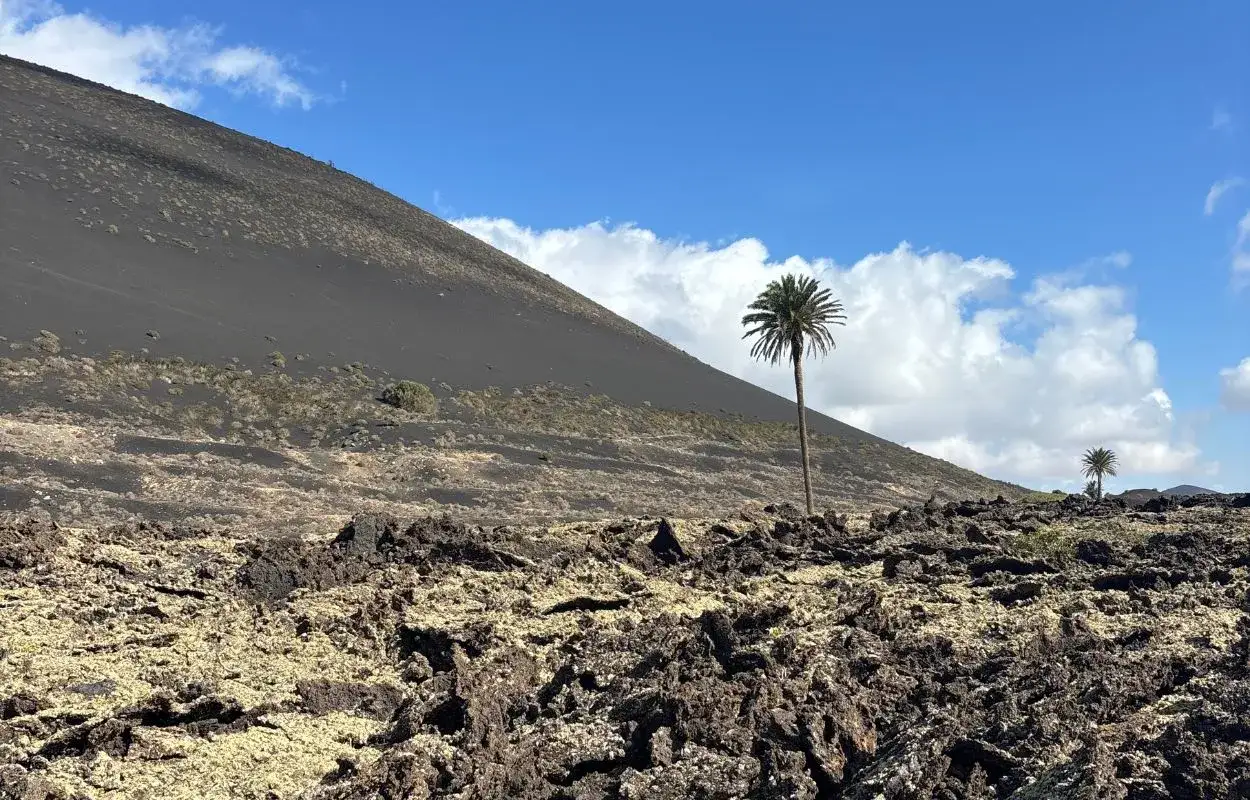 Lanzarote pogoda: wulkaniczne krajobrazy, czarny stożek, palmy i błękitne niebo z chmurami.