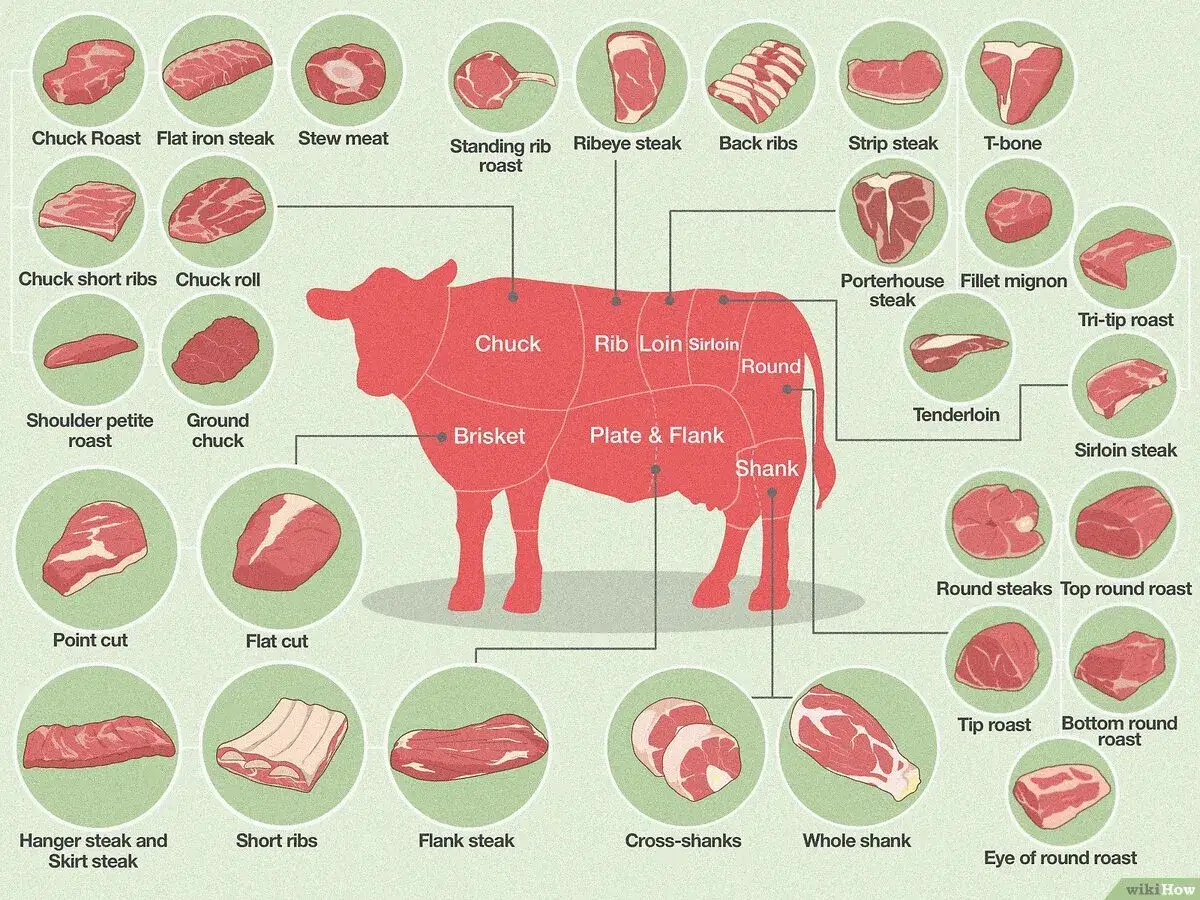 Beef cuts chart. The sirloin tip, or