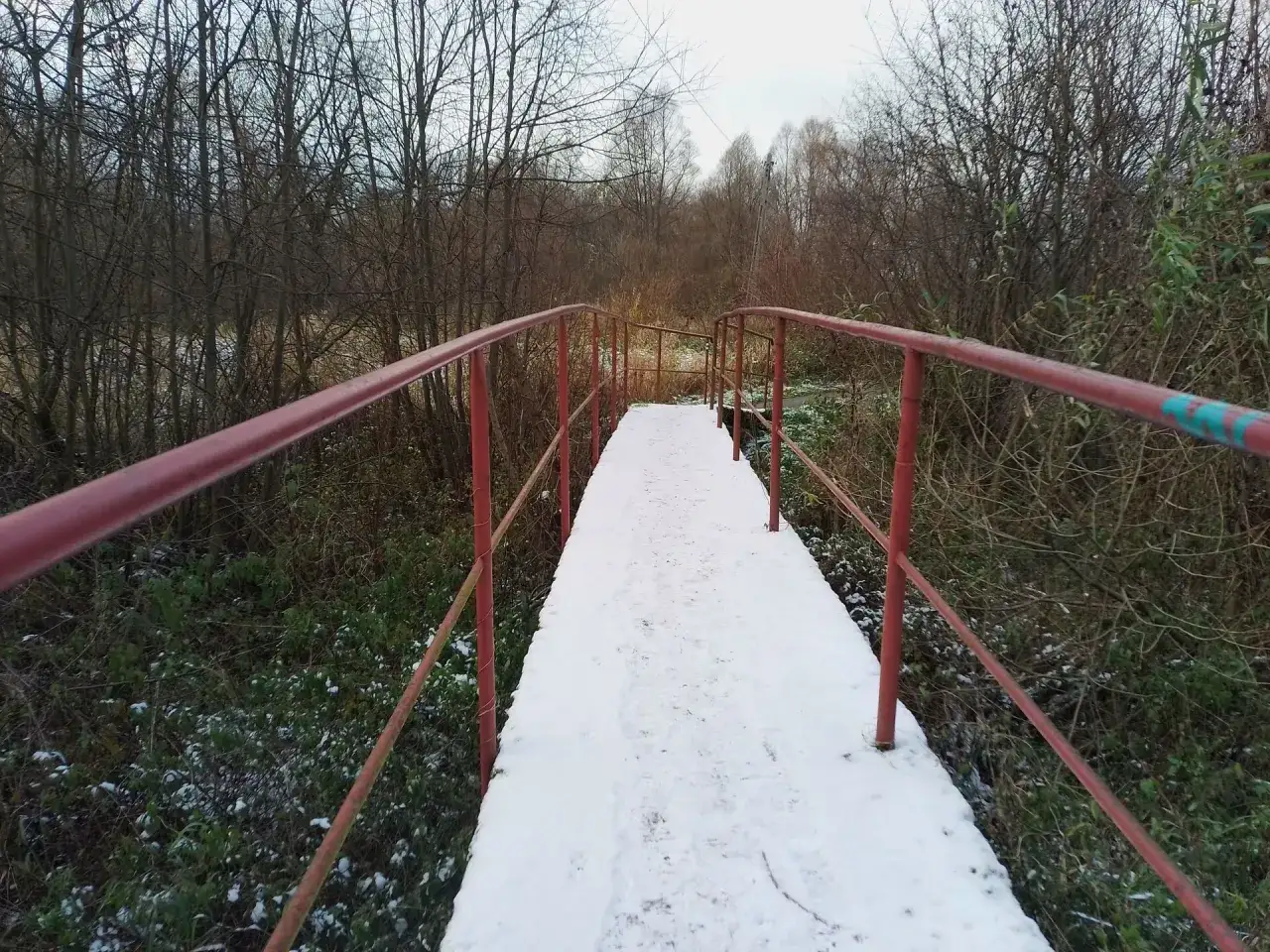 Śnieg pokrywa mostek w lesie Bronaczowa. Gałęzie drzew tworzą gęsty, zimowy krajobraz.