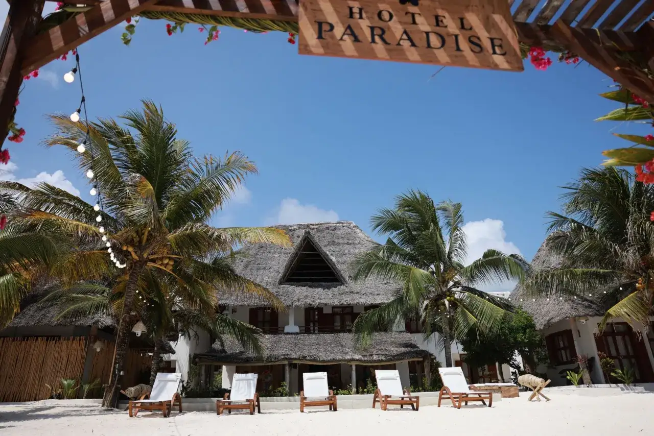Hotel Paradise zaprasza! Trzech uczestników relaksuje się na leżakach pod palmami, czekając na słońce i przygodę.