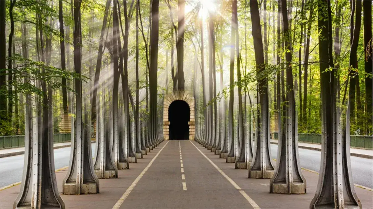 Un viale alberato con un arco oscuro in fondo, illuminato da raggi di sole che creano una sfumatura photoshop magica.