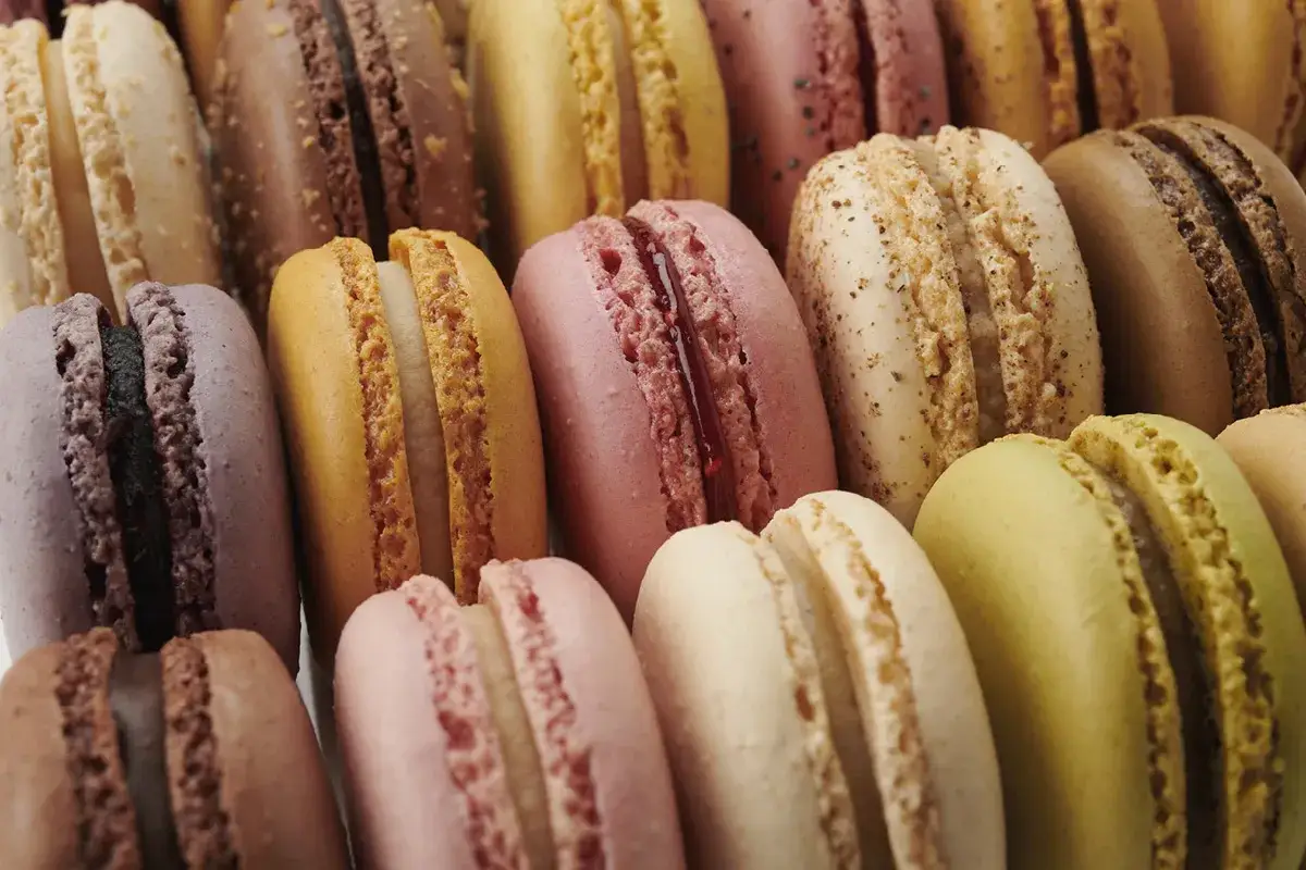 Une farandole de macarons colorés, aux saveurs variées. Ces petites douceurs, dont on dit qu'elles viennent d'Italie, nous font voyager par leur gourmandise.