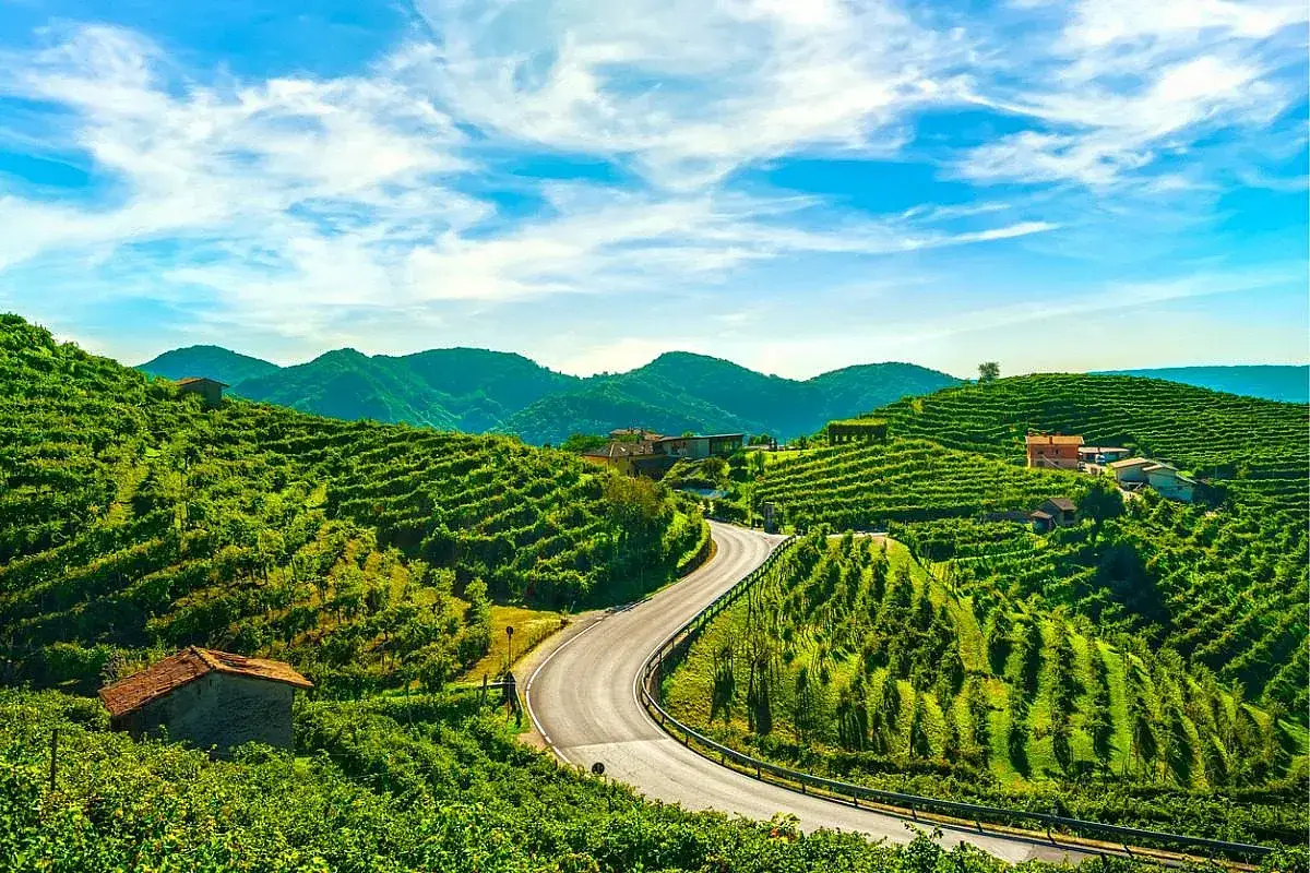 Strada serpeggiante tra le verdi colline del Prosecco, con vigneti a terrazze e casolari. Un paesaggio incantevole da esplorare.