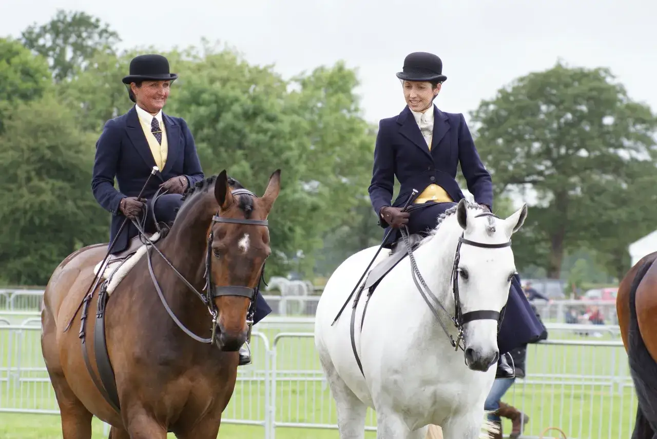Zwei Reiterinnen im Damensattel, elegant gekleidet, reiten auf braunen und weißen Pferden.