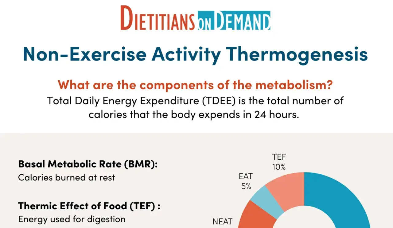Grafico mostra quante calorie si bruciano al giorno, spiegando il metabolismo basale, l'effetto termico del cibo e l'attivit&agrave; non legata all'esercizio (NEAT).