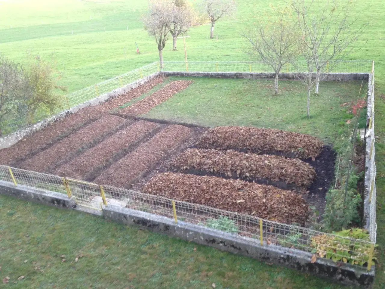 Jardin potager avec des rangées de feuilles mortes sur un sol argileux. Avantages : rétention d'eau. Inconvénients : drainage lent.