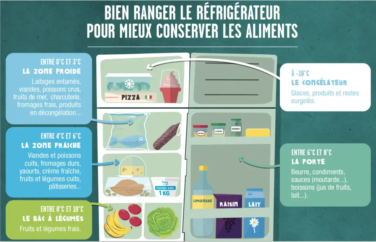 Guide pour le bon reglage frigo : la zone froide pour le cru, la zone fraîche pour le cuit, le bac à légumes pour les frais, et la porte pour les condiments.