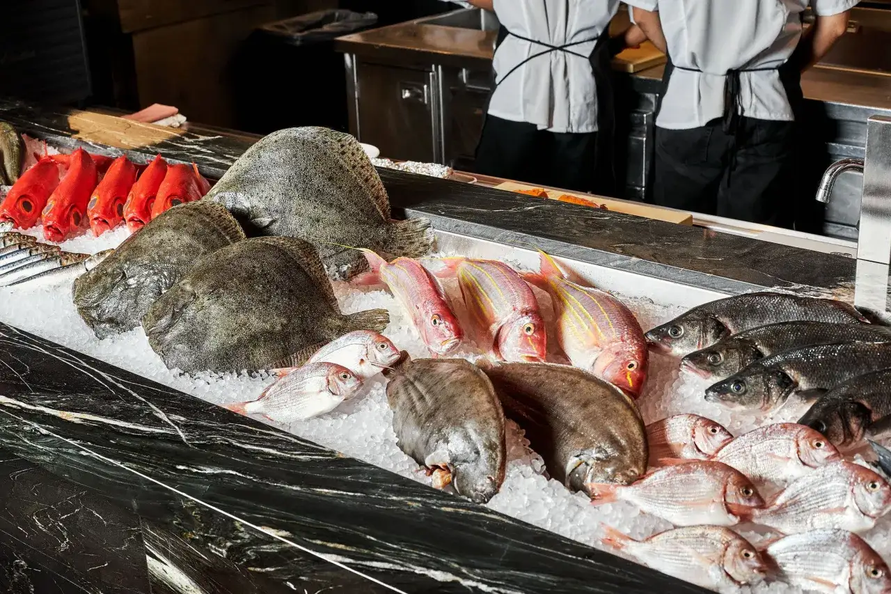Un étal de poisson frais présente des turbots, des poissons rouges, des dorades et d'autres espèces sur un lit de glace.