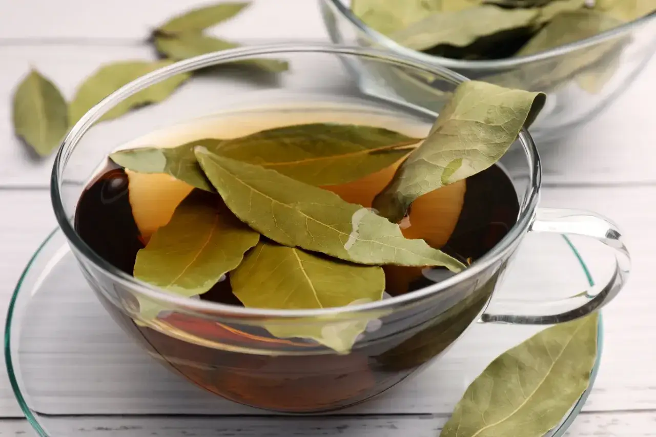 Napar z liści laurowych, który może pomóc w walce ze zmarszczkami, w szklanej filiżance.