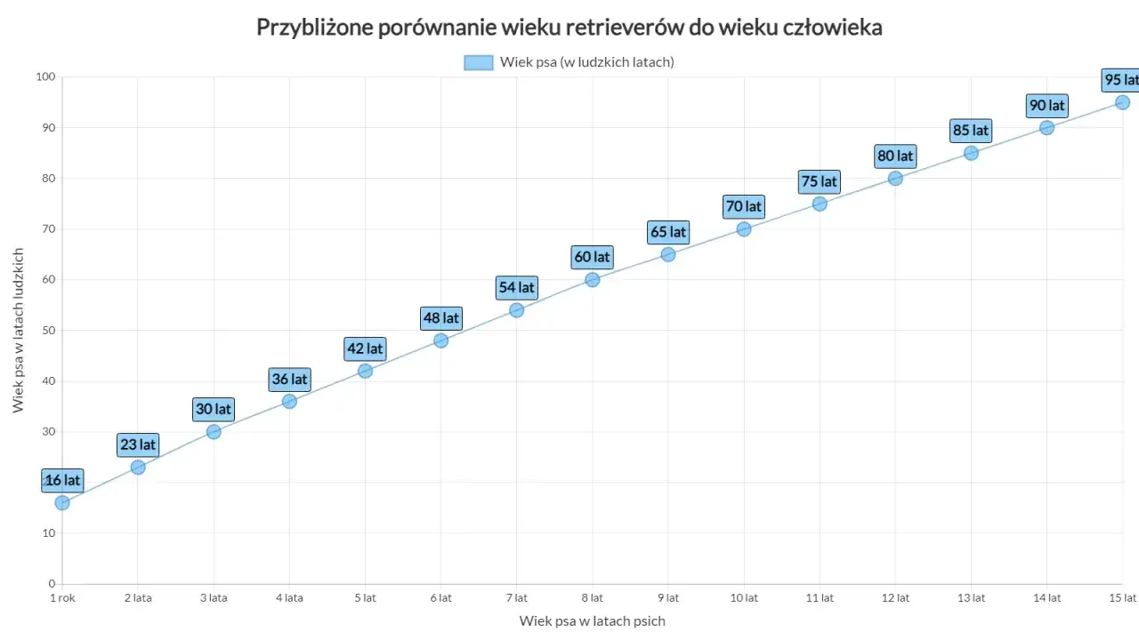 Wykres pokazuje, że 15 lat psa to ok. 95 lat ludzkich. Wiek psa (w latach ludzkich) rośnie wraz z wiekiem psa w latach psich.