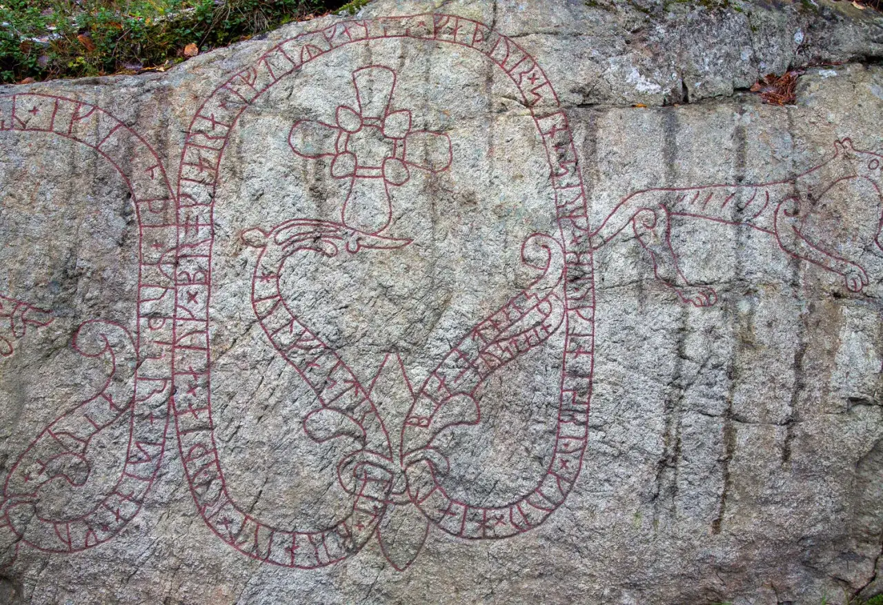 Runsten med slingrande ormar och kors. Texten berättar om vikingarnas liv och vilket språk pratade vikingarna.