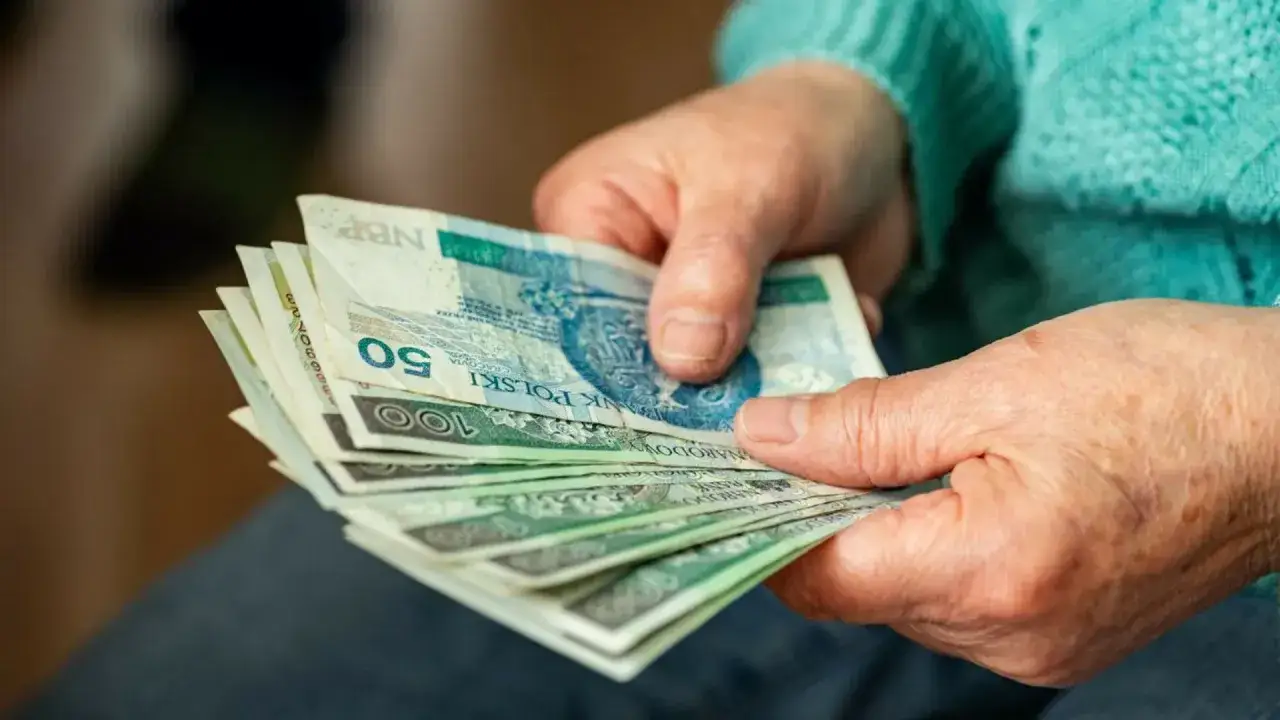 Dłonie seniora trzymają plik polskich banknotów. To może być wsparcie w ramach programu 500 plus dla seniora w małżeństwie.