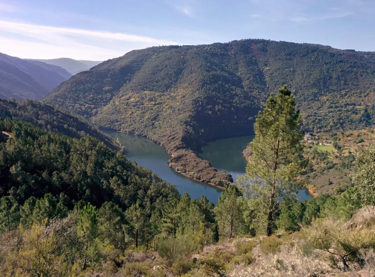 Un río serpentea entre montañas cubiertas de bosques en Ribas de Sil.