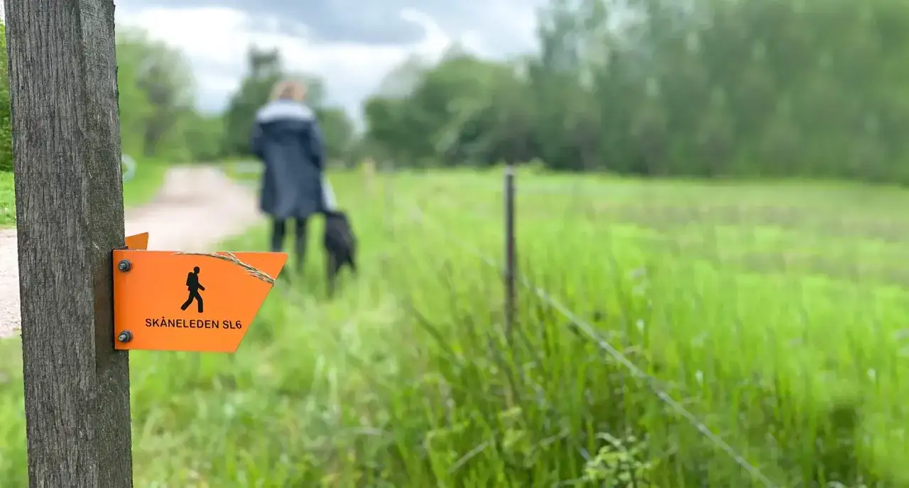 Orange skylt visar en vandringsled. En person och hund vandrar på Skåneleden SL6.