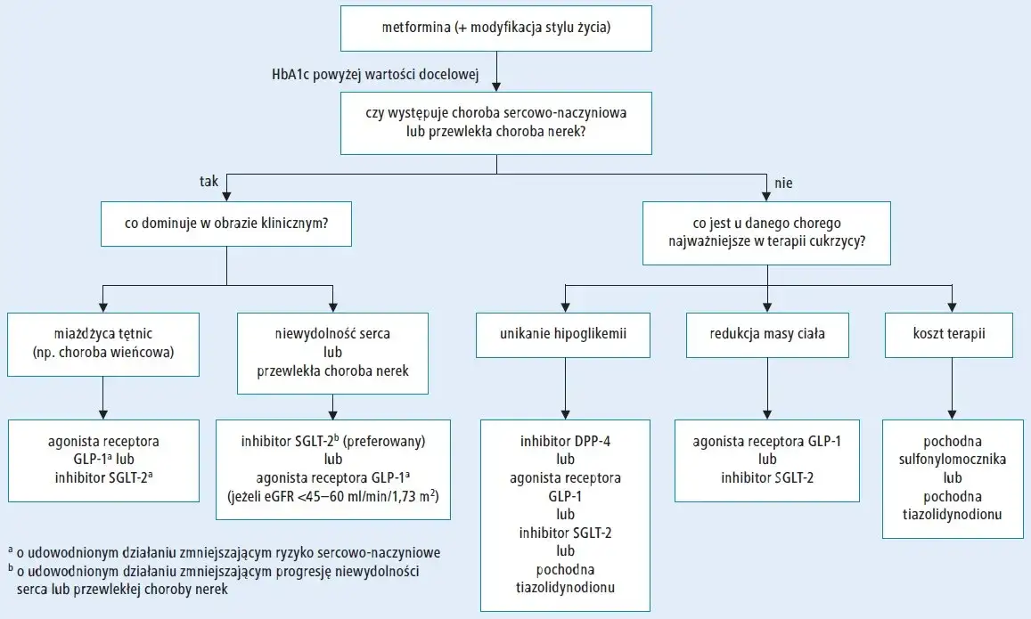 schemat klas lek&oacute;w na cukrzycę typu 2