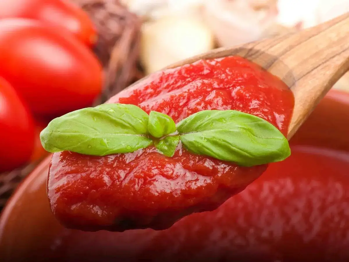 Un cucchiaio di cremosa passata di pomodoro pugliese, guarnita con basilico fresco, pronta per insaporire i tuoi piatti.
