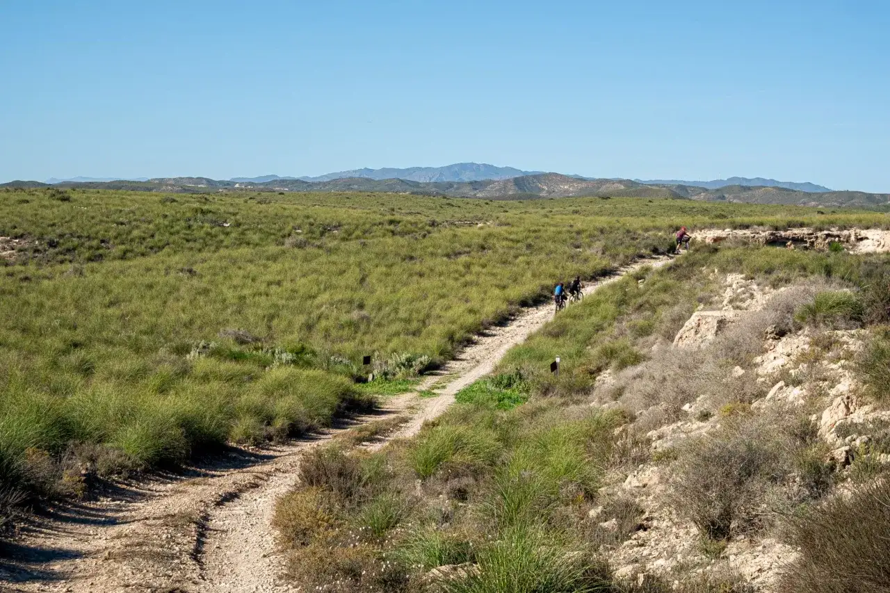 Ruta en bicicleta por el campo, con monta&ntilde;as al fondo. Para llegar a Lucainena de las Torres, sigue este camino.