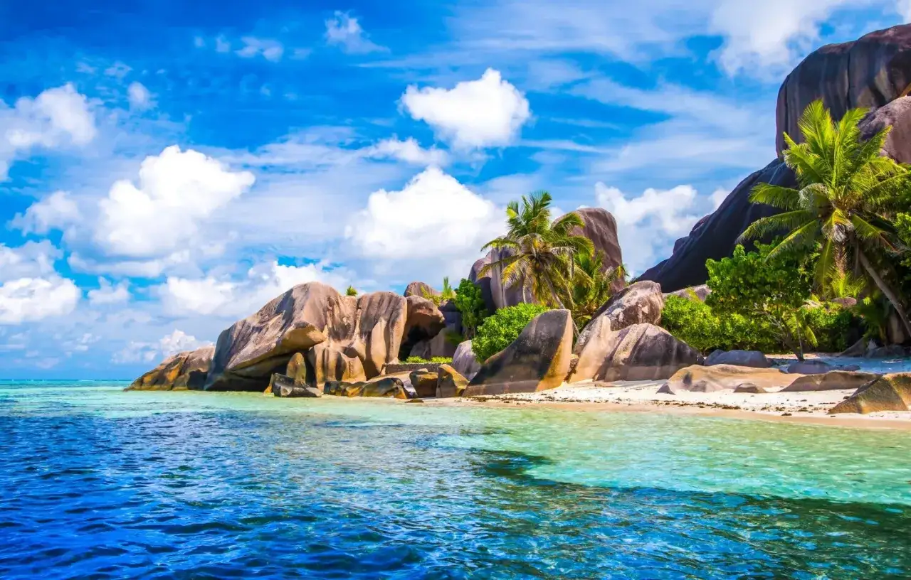 Rajska plaża z granitowymi skałami i palmami. Czy to Seszele czy Mauritius? Woda kusi turkusowym blaskiem.
