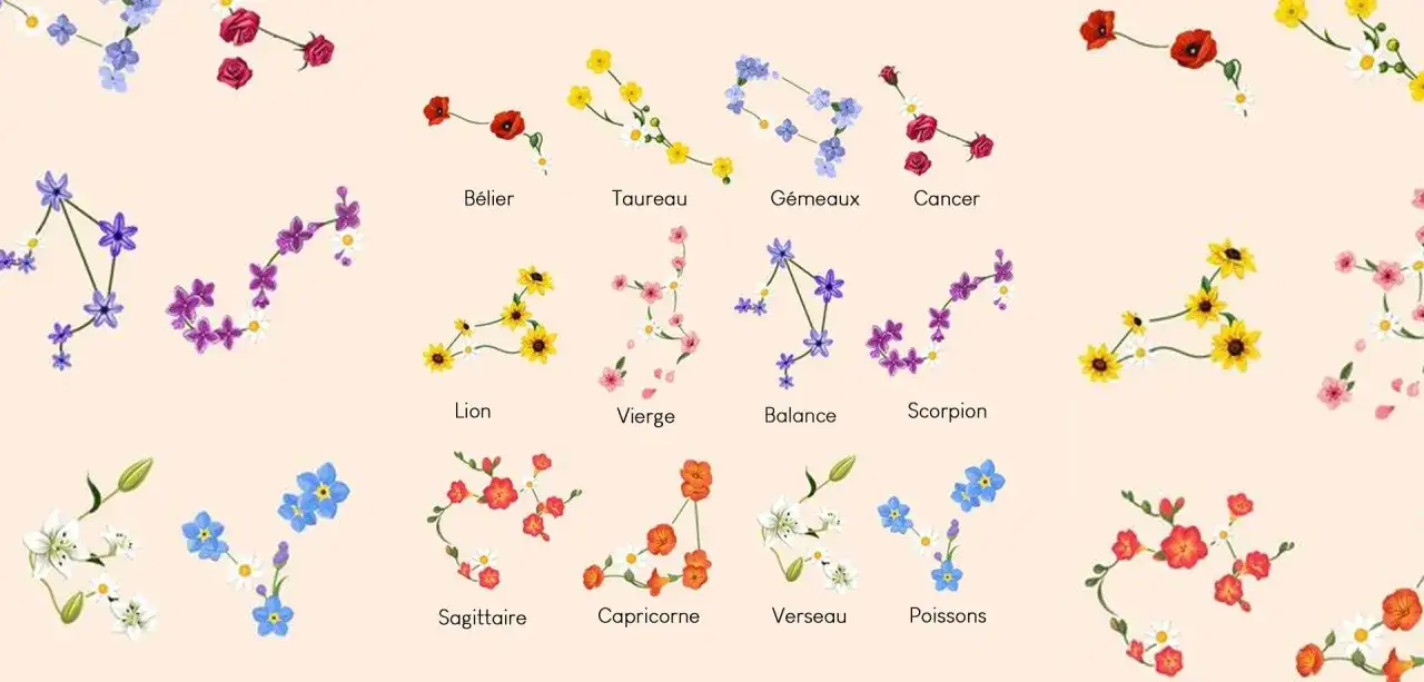 Constellations florales représentant les signes du zodiaque, dont le Lion, symbole mois d'août.