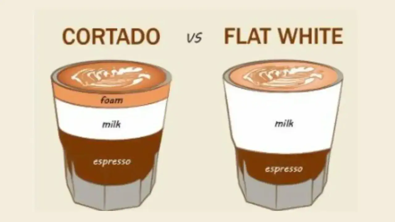 Grafik zeigt den Cortado und Flat White Unterschied: Cortado hat mehr Schaum, Flat White mehr Milch.