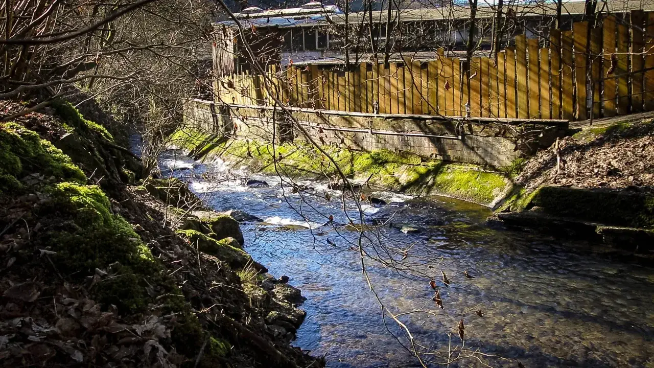 Ein Bach pl&auml;tschert auf der Solingen Route, umgeben von moosbewachsenen Ufern und einem Holzzaun.