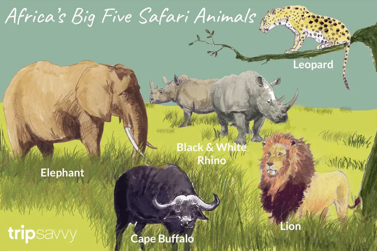 Die Big Five Afrikas: Elefant, Nashorn, Leopard, Büffel und Löwe in einer illustrierten Safari-Szene.