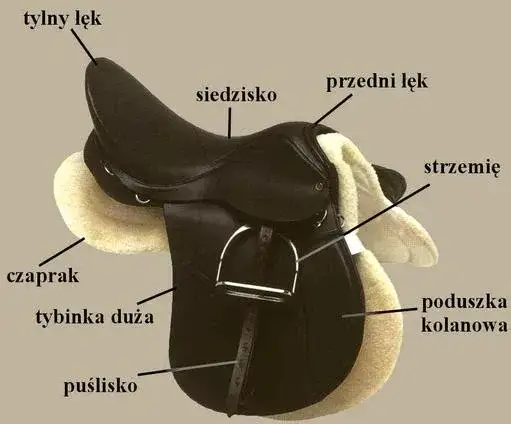 różne elementy siodła